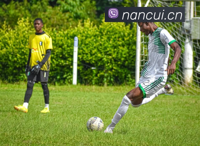 爱游戏ayx官方网页服务体系